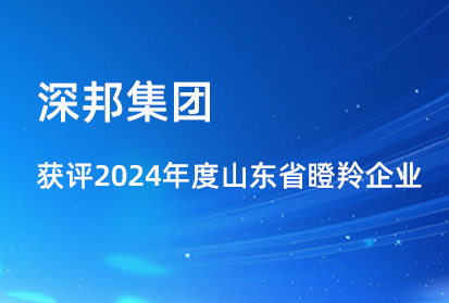喜報|深邦集團獲評2024年度山東省瞪羚企業