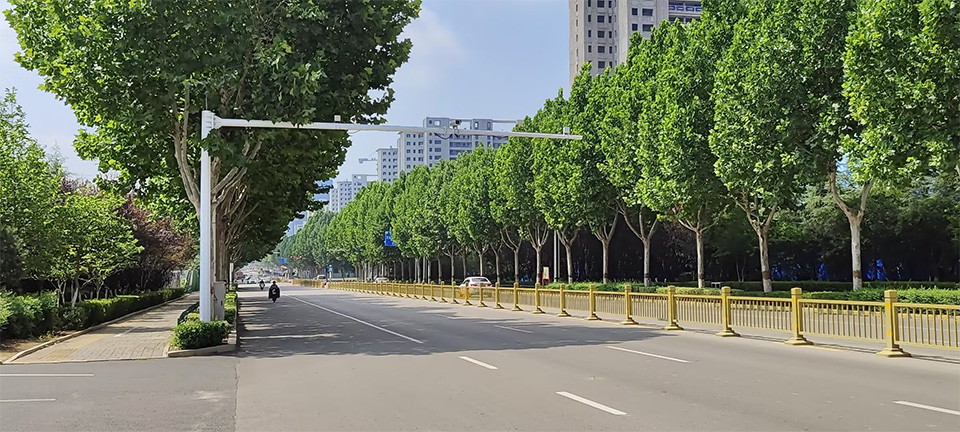 黑煙車電子抓拍系統