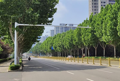 深邦黑煙車電子抓拍系統有哪些特點