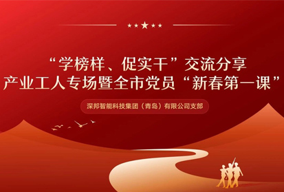 深邦黨支部開(kāi)展“學(xué)榜樣 促實(shí)干”主題交流活動(dòng)