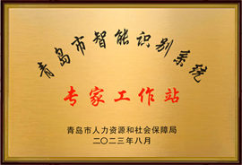 青島市智能識別系統(tǒng)專家站