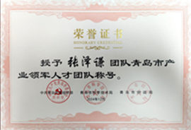 青島市領(lǐng)軍人才團(tuán)隊(duì)